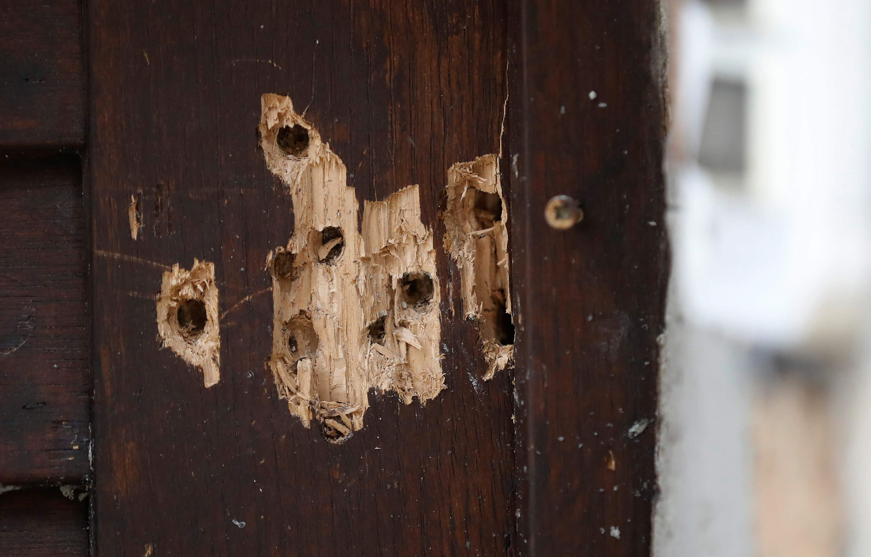 © Hannibal Hanschke / picture alliance / REUTERS