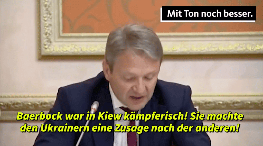 Das Bild zeigt nicht den Verteidigungsminister von Russland, sondern einen Landwirtschaftsminister und um Annalena Baerbock geht es auch nicht